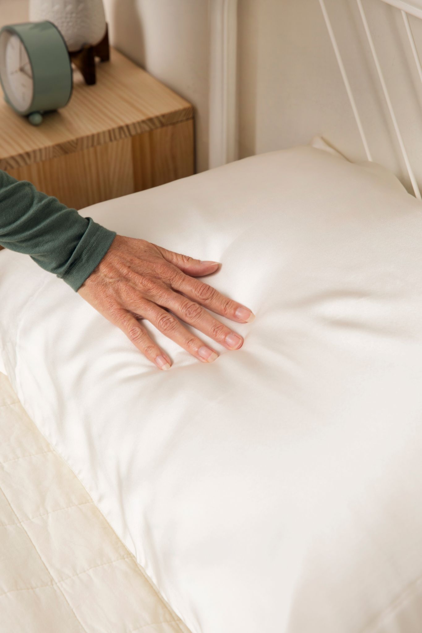 Mulberry silk pillow case